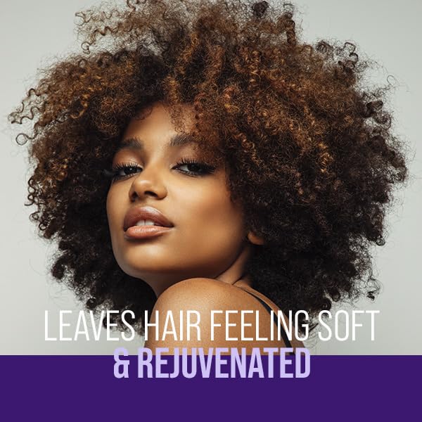 The Mane Choice The Alpha Easy On The Curls Hydration Curly Hair Conditioner, Nourishing Detangling Conditioner Enriched with Biotin & Vitamin E Beauty & Personal Care The Mane Choice