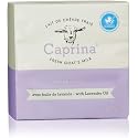Caprina by Canus Goat Milk Soap Bar, LAVENDER OIL, 3.2 oz (90 g) Bars, 3-Pack, Moisturizing Daily Cleanser for Face, Hands & Body, Fresh Canadian Goat Beauty & Personal Care Caprina by Canus