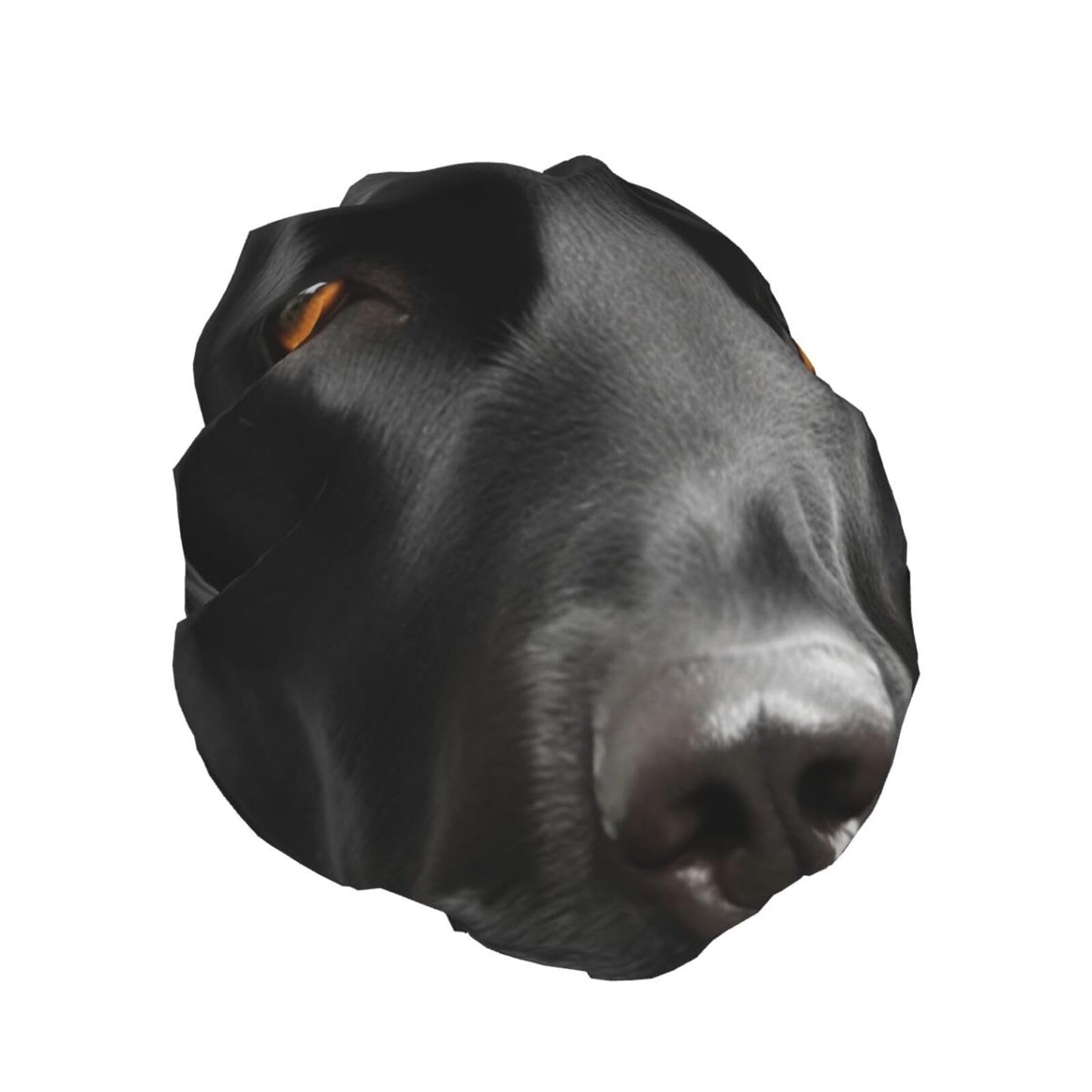 Black Dog Shower Cap for Women Men Large Reusable Shower Bonnet Double-Layer Waterproof Bath Caps Elastic Band Hair Hat for All Hairstyles Beauty and Personal Care BWLHJKE