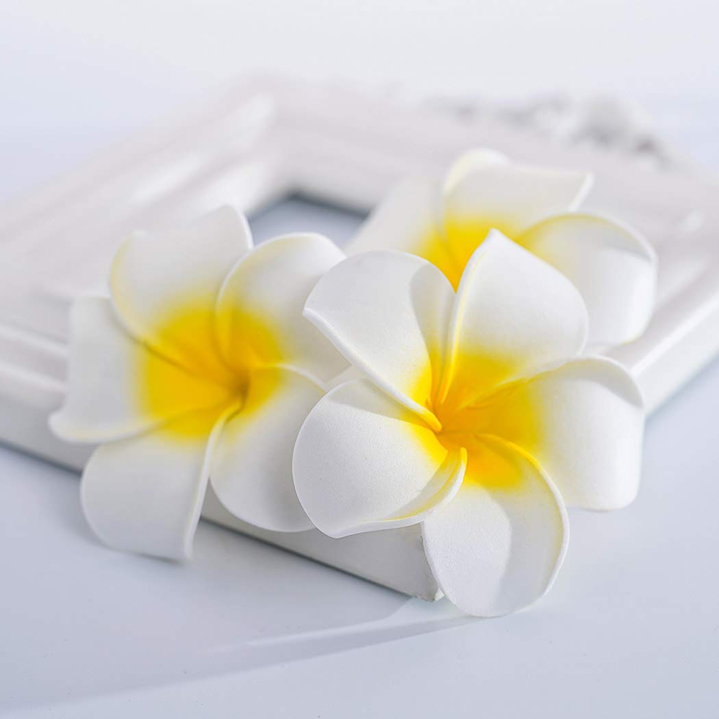 Zoestar Hawaii Flower Hair Clip Plumeria 3pcs Beach Hair Accessory for Women Beauty & Personal Care Zoestar