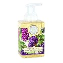 Michel Design Works Foaming Hand Soap, 17.8 Fluid Ounce, Vineyard Beauty & Personal Care Michel Design Works