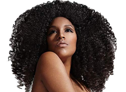 Nature's Blessing Hair Food Vegetarian Formula for Dry Brittle Hair (All Natural Ingredients) Beauty & Personal Care Nature's Blessing