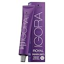 Schwarzkopf Professional Igora Royal Fashion Lights Hair Color, L-88, Red, 2.1 Ounce Beauty & Personal Care Schwarzkopf Professional