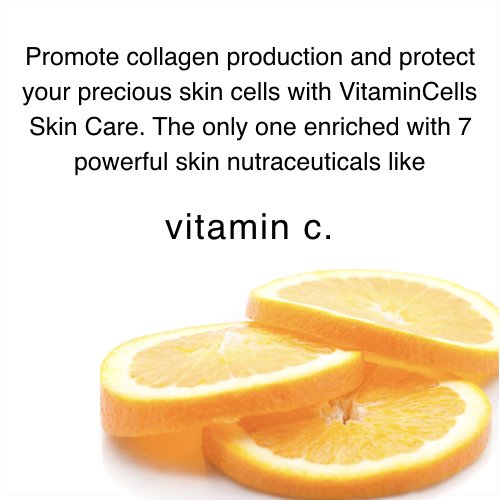 Ecco Bella Plant Based Rebuilder Night Cream - All Natural Anti-Aging Moisturizer for Face with Hyaluronic Acid, Vitamin C & Vitamin E - 2oz Beauty & Personal Care Ecco Bella