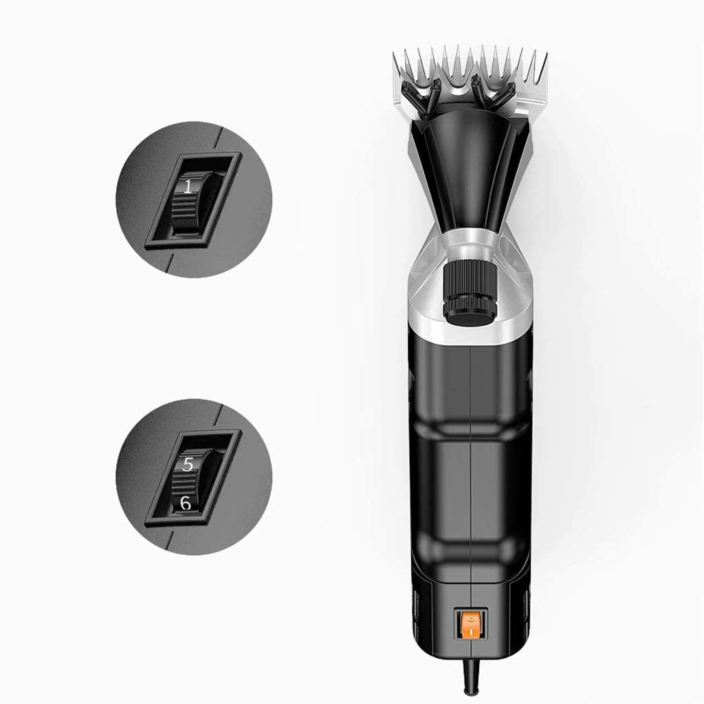 GagalU Hair Care Trimmer Professional 800W Heavy Duty Electric Clipper Wool Fader Shaved Wool Scissors 6-Speed Adjustable Pet & Beauty Products 9 Beauty and Personal Care GagalU