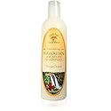 Island Soap & Candle Works Shampoo, 12 Ounce Beauty & Personal Care Island Soap & Candle Works