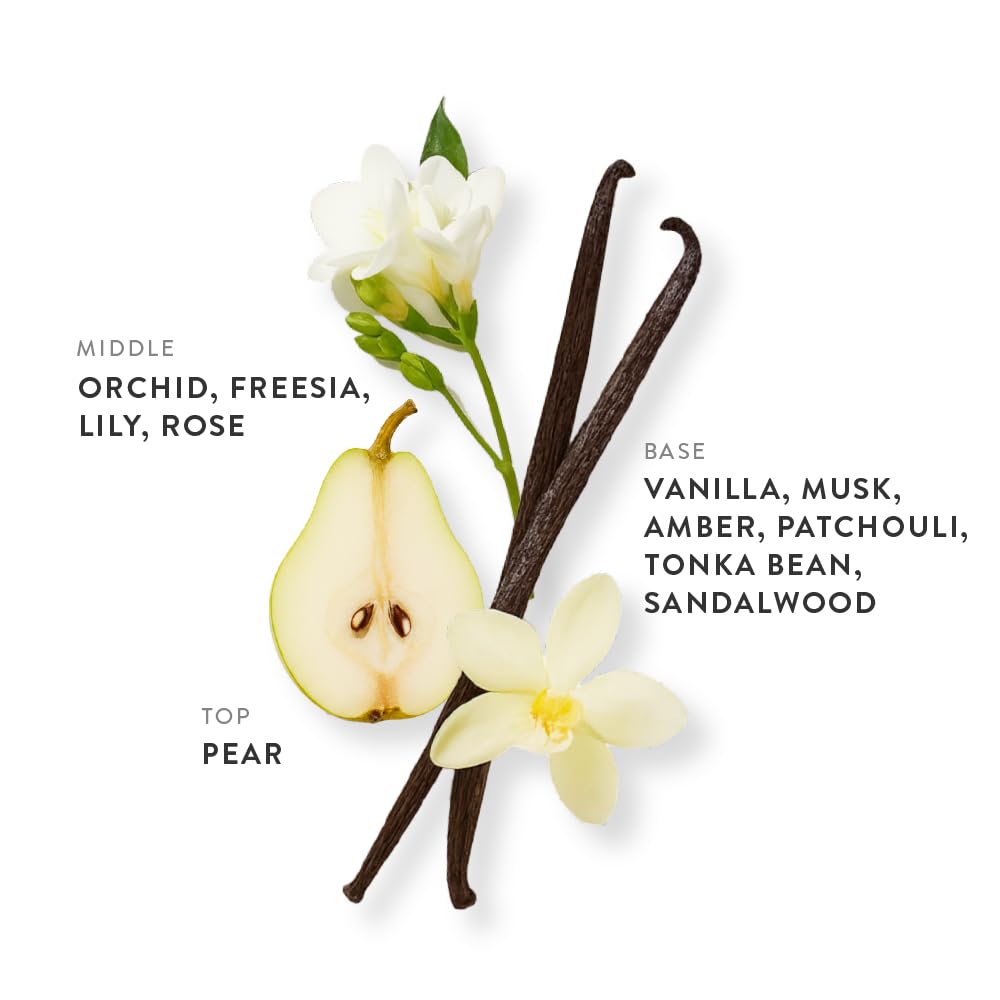 ETLEÉ French Vanilla Eau de Parfum 0.34oz, Long Lasting Perfume Inspired by Kay Vanilla 28, Oriental Notes With Pear, Musk, Amber, Rose, Lily Beauty & Personal Care ETLEÉ