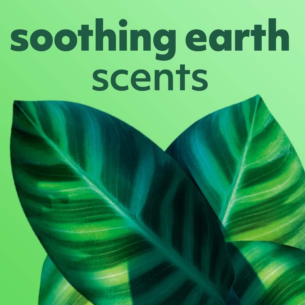 Softsoap Eucalyptus & Mint, Moisturizing Body Wash, 591 ml Beauty & Personal Care Softsoap