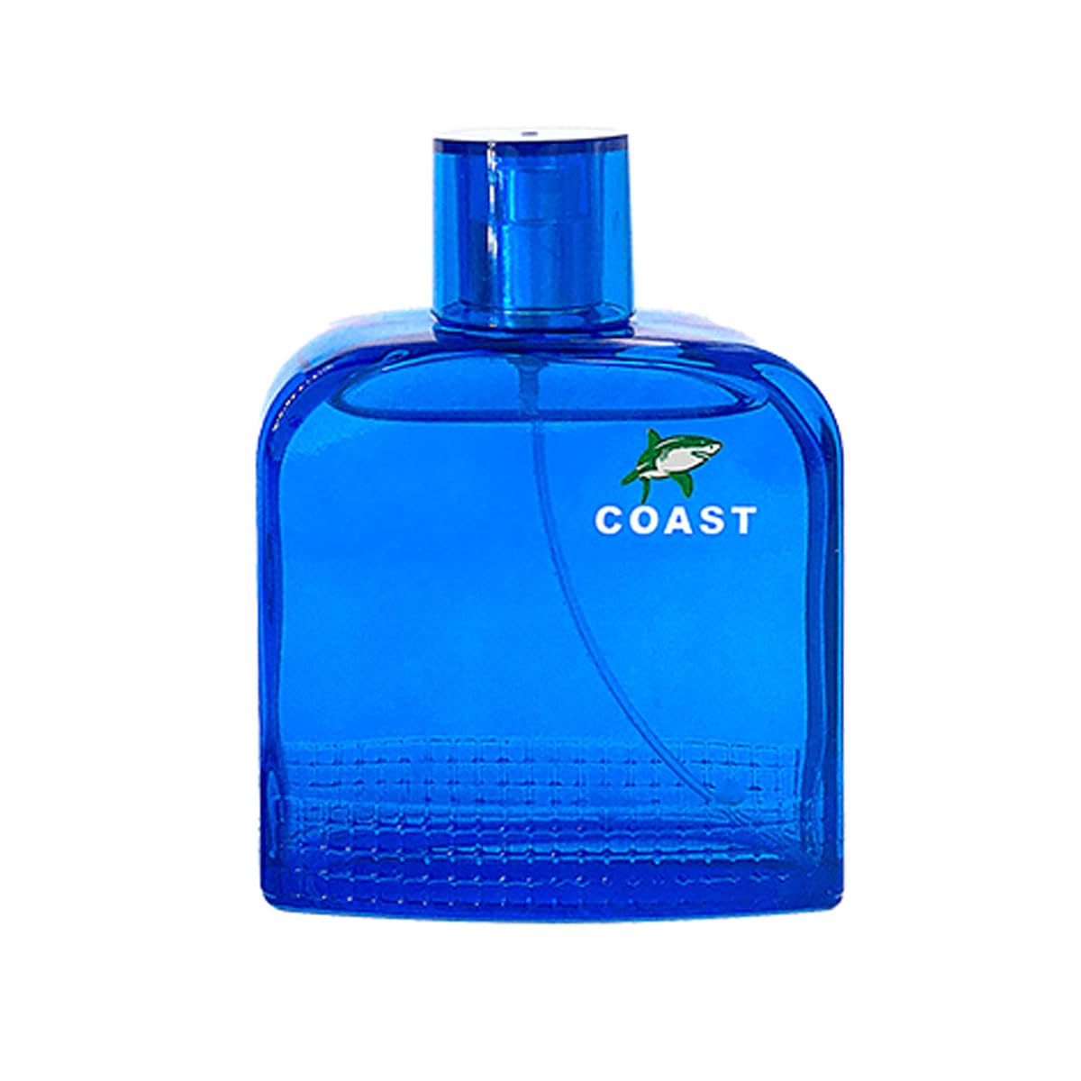 EBC Perfume Coast Men Perfume Choose 1 x 100ml Eau De Parfum Vaporisateur Spray, Essential Oil From France (Blue) Beauty & Personal Care EBC Perfume
