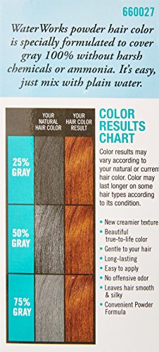 Water Works Water Activated Permanent Powder Hair Color for Men and Women, #27 Natural Light Brown Beauty & Personal Care Water Works