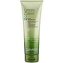Giovanni Cosmetics 2chic Shampoo Avcdo & OLV Beauty & Personal Care GIOVANNI
