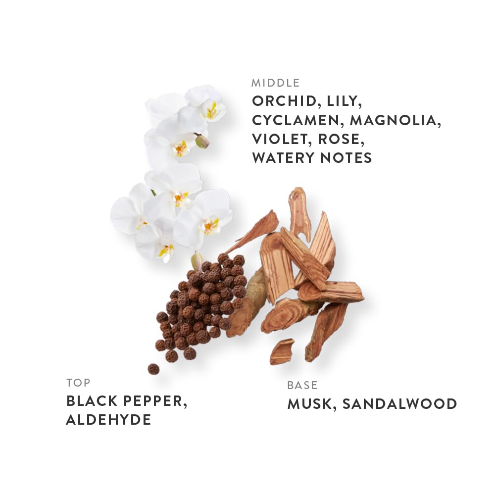 ETLEÉ Cotton Powder Eau de Parfum 1.01oz, Aldehydic Musk Long Lasting Perfume With Sandalwood, Black Pepper, Orchid, Lily & Rose, Layerable Luxury Beauty & Personal Care ETLEÉ