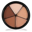 Mehron Makeup Tattoo Cover ProColoRing | 5 Color Wheel Pro Color Ring| Made in the USA | Tattoo Cover Up Makeup | Concealer Beauty & Personal Care Mehron
