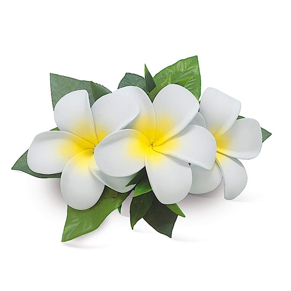 Hawaii Hair Clip Foam Flower Cluster Plumeria White Beauty & Personal Care Welcome to the Islands