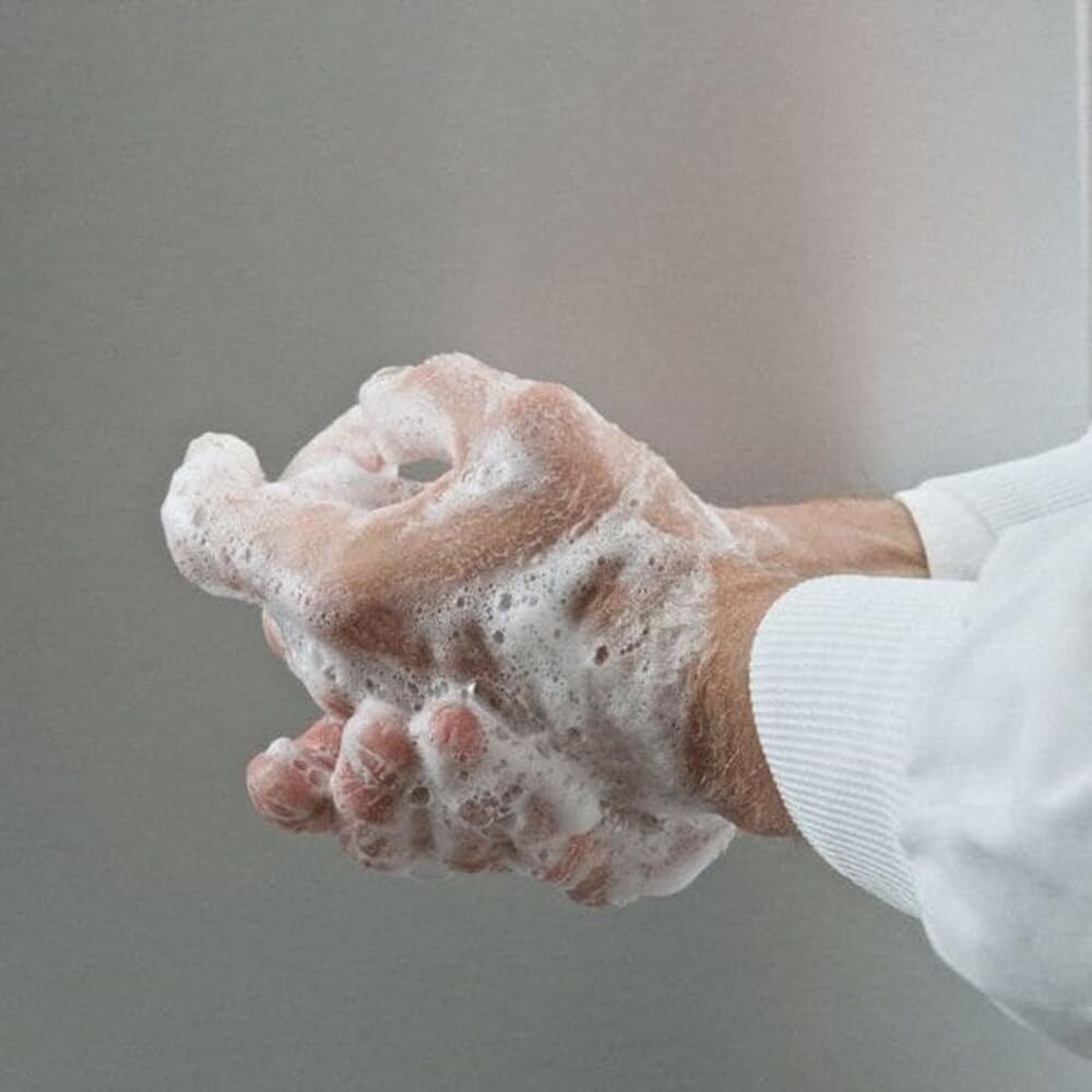 Best Sanitizers SO10029 Alpet E2 Sanitizing Foam Hand Soap, 1250mL (Case of 6) Beauty & Personal Care Best Sanitizers Inc