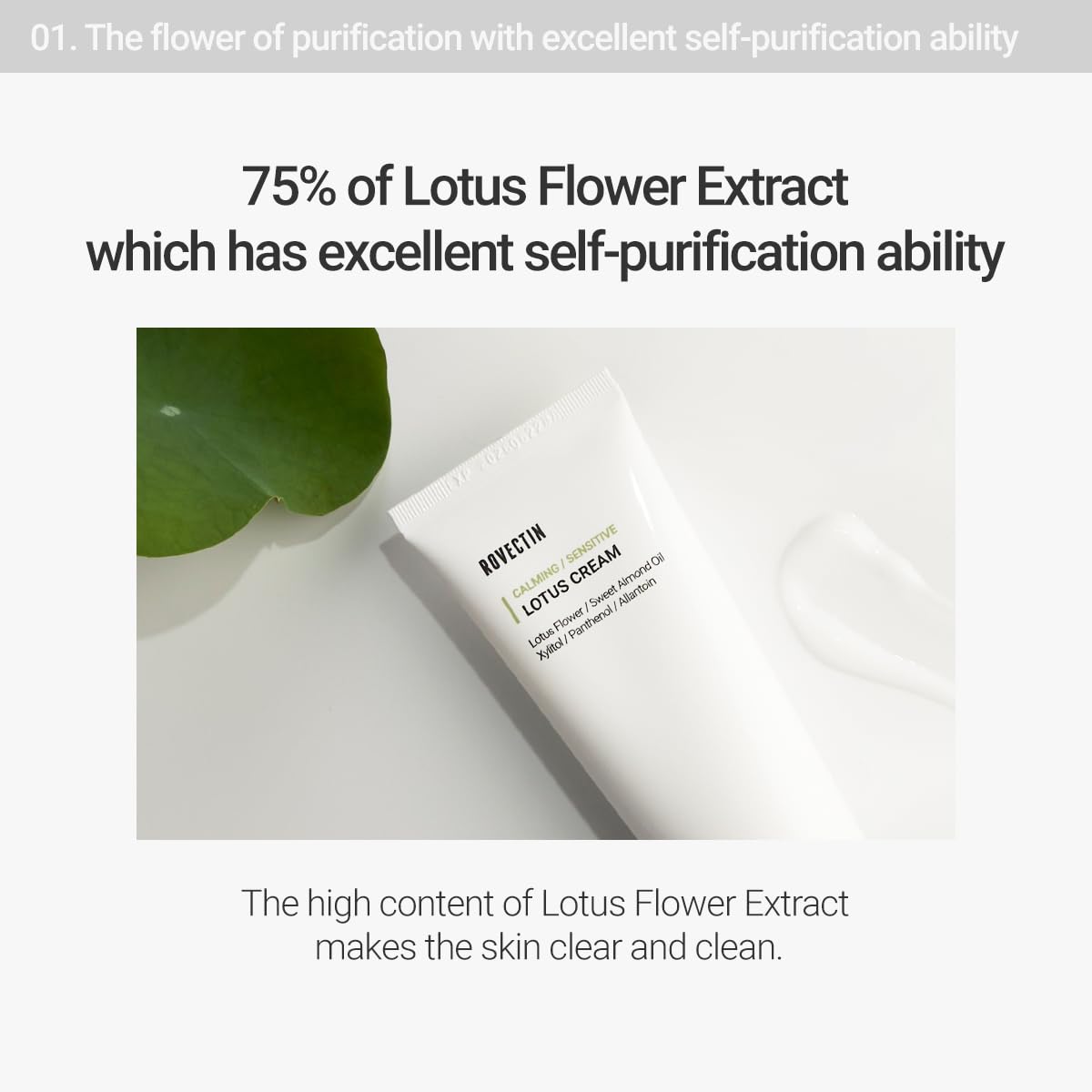 ROVECTIN Calming Lotus Cream - Lightweight Hydrating & Soothing Moisturizer Face Cream for Sensitive Skin | 75% Lotus Water Extract & Niacinamide Beauty & Personal Care ROVECTIN