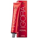 Schwarzkopf IGORA ROYAL Permanent Color Creme (5-57 Light Brown Gold Copper) Beauty & Personal Care Schwarzkopf Professional