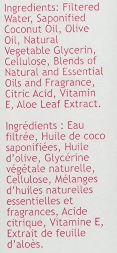 South of France Hand Wash, Climbing Wild Rose, 8 Oz Beauty & Personal Care South Of France