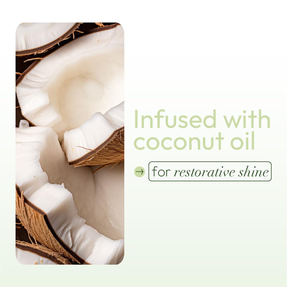 ORS Olive Oil Nourishing Sheen Spray infused with Coconut Oil 10 Ounces (Pack of 4) Beauty & Personal Care ORS