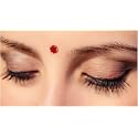 100 Different Packets of India Traditional Bindi Tika Tattoo Beauty & Personal Care PDTXCLS