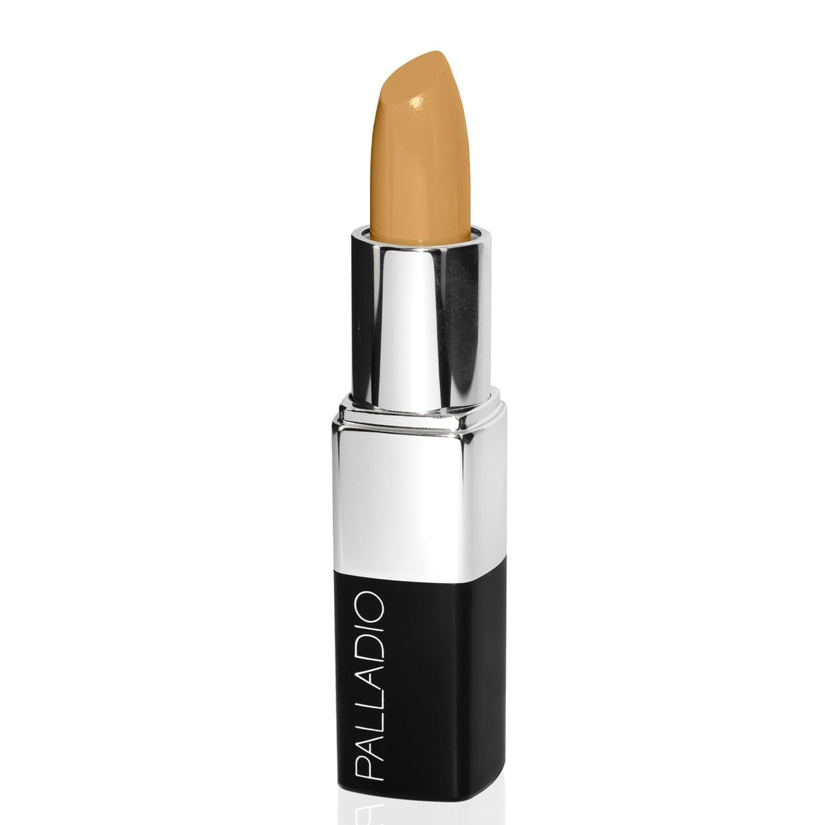 Palladio Stick Concealer, Everyday Long lasting Full To Medium Coverage, Natural Under Eye Concealing And Color Correcting Shades, Convenient Smooth Beauty & Personal Care Palladio