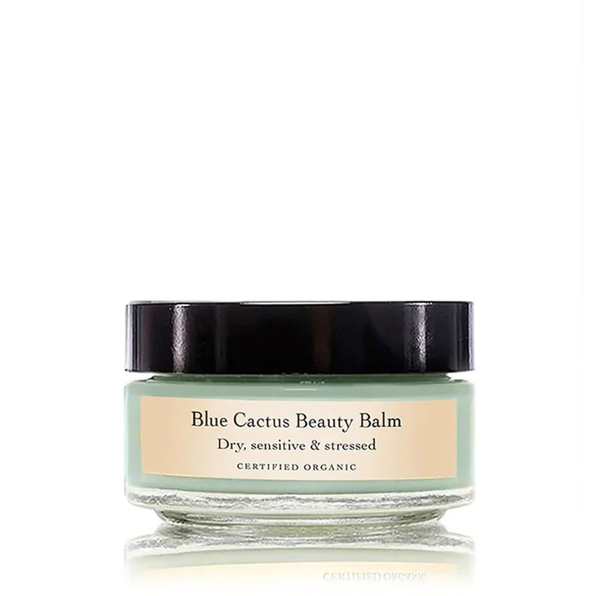 evanhealy Blue Cactus Beauty Balm - Organic Prickly Pear & Blue Tansy Flower - Soothing, Calming, Moisture Balm for All Skin Beauty and Personal Care evanhealy