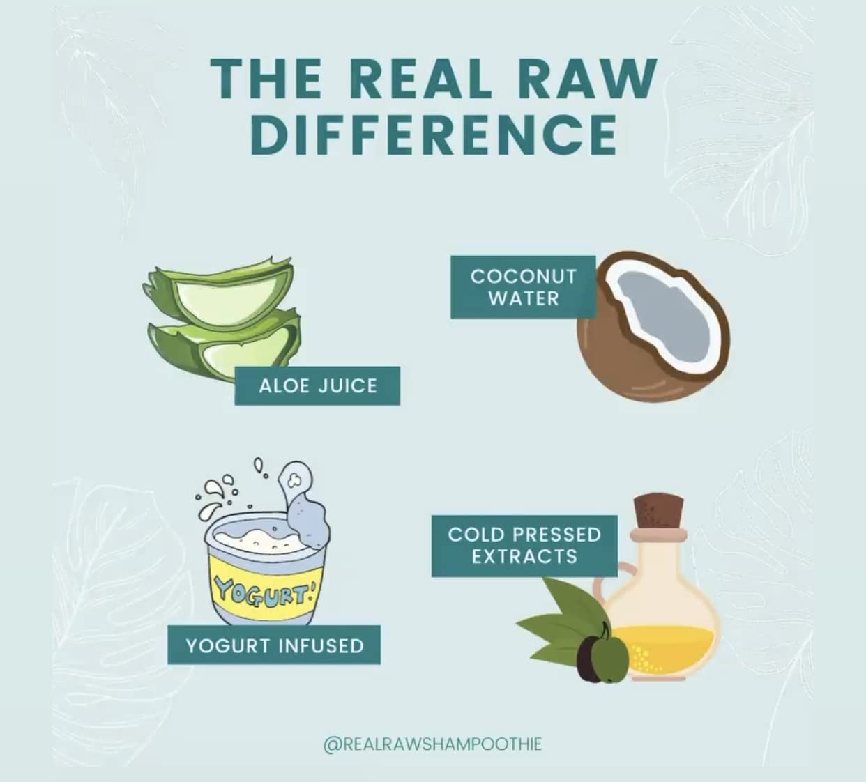 Real Raw Coconut Shampoo and Conditioner set Hydrate, Enhance, Define Curls Defrizz and Detangle 12 Fl Oz (Pack of 2) Beauty & Personal Care Real Raw