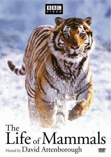 The Life Of Mammals Set Beauty & Personal Care DVD