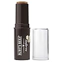 BURTS BEES Golden Shimmer All Aglow Bronzer Stick, 0.32 OZ Beauty & Personal Care Burt's Bees