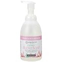 Ginger Lily Farms Botanicals All-Purpose Foaming Hand Soap Refill, 100% Vegan & Cruelty-Free, Vanilla Sugar Bliss Scent, 20 Fl Oz (Pack of 1) Beauty & Personal Care Ginger Lily Farms