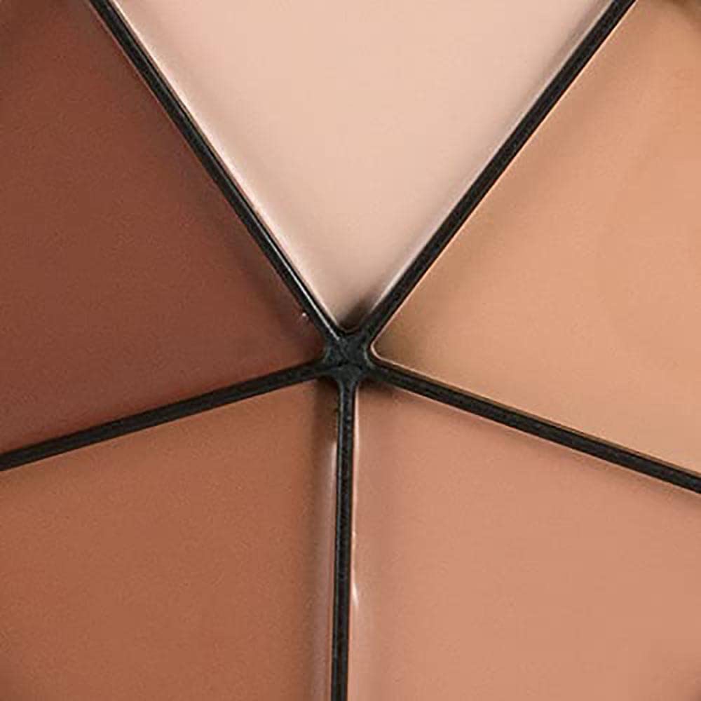 Mehron Makeup Tattoo Cover ProColoRing | 5 Color Wheel Pro Color Ring| Made in the USA | Tattoo Cover Up Makeup | Concealer Beauty & Personal Care Mehron