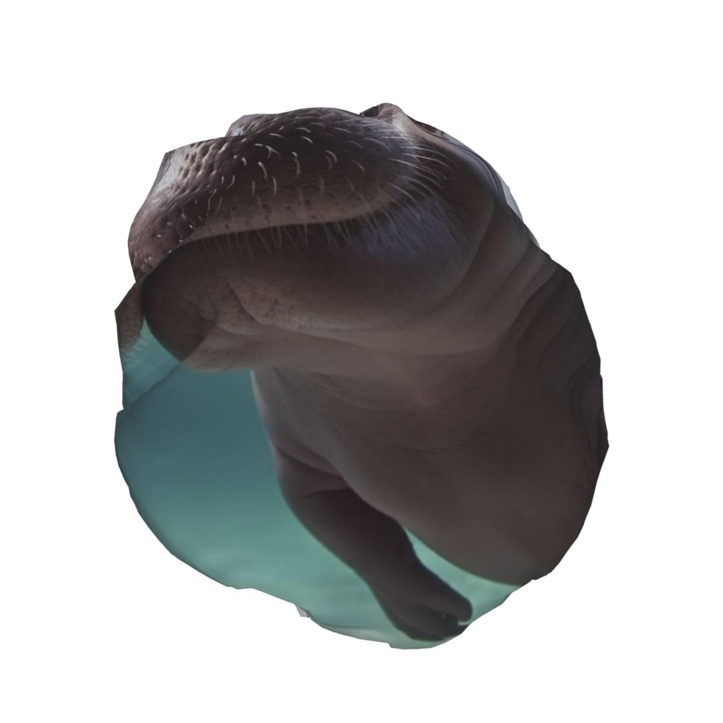 Diving Hippo Shower Cap for Women Men Large Reusable Shower Bonnet Double-Layer Waterproof Bath Caps Elastic Band Hair Hat for All Hairstyles Beauty and Personal Care BWLHJKE