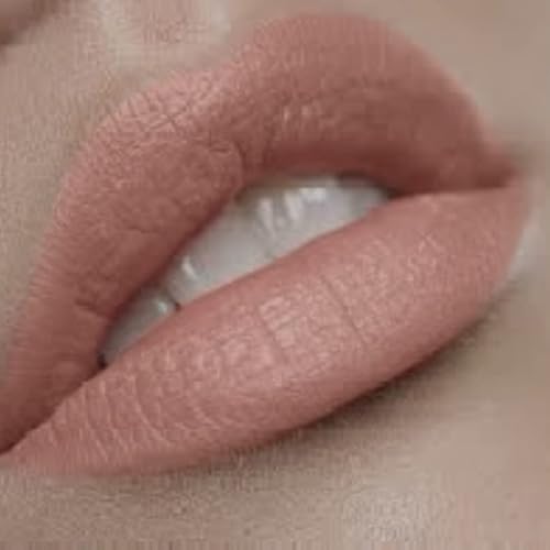 By The Clique Premium Nude Matte Liquid Lipstick | Unashamed | Vegan, Gluten Free and Cruelty Free Beauty & Personal Care By The Clique