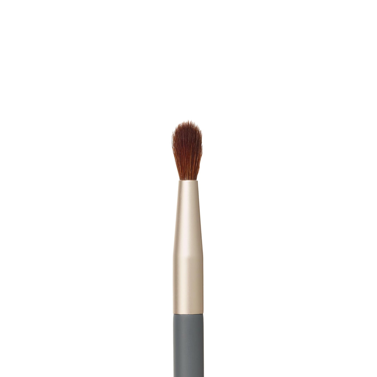 jane iredale Pro Series Detail Brush, Small, Tapered Cosmetic Brush for Targeted Application of Powder Eye & Complexion Products, Vegan, Cruelty Free Beauty & Personal Care jane iredale