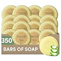 Terra Pure Bar Soap 1.25 oz Travel Size Body Bars | Individually Wrapped Bulk 350 Pack | Green Tea with Aloe & Olive Oil | Paraben Free Guest Beauty & Personal Care Terra Pure