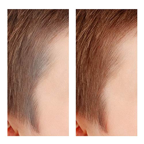 Da Vinci Daily Quick & Easy soft touch up for Gray Hair (3N Dark Brown) Beauty & Personal Care da Vinci
