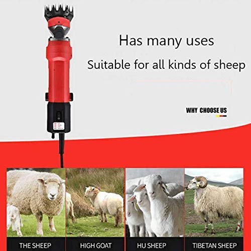 GagalU Sheep Shears 1000W Shearing Machine Heavy Duty Electric Grooming Clippers Farm Animal Shave Tool with 6 Adjustable Speed for Pet Wool Livestock Beauty and Personal Care GagalU