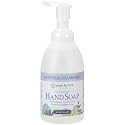 Ginger Lily Farms Botanicals All-Purpose Foaming Hand Soap Refill, 100% Vegan & Cruelty-Free, Lavender Chamomile Scent, 20 Fl Oz (Pack of 1) Beauty & Personal Care Ginger Lily Farms