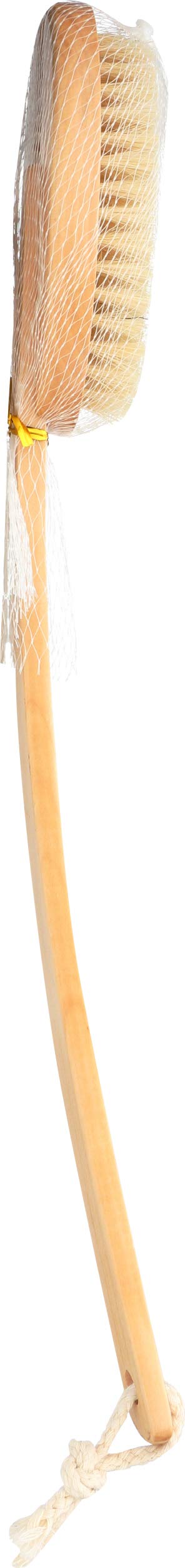 Earth Therapeutics Back Brush Ergo-form Far Reaching Beauty and Personal Care Earth Therapeutics