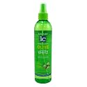 Fantasia Spritz Olive Firm Hold 12 Ounce Pump (354ml) (6 Pack) Beauty & Personal Care Fantasia