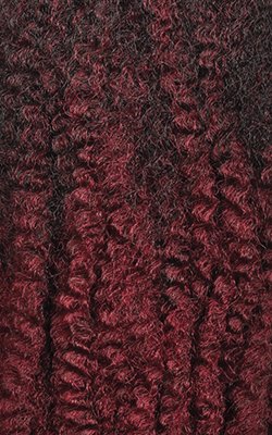 X-pression Braid Outre Crochet Braids X-Pression Twisted Up 3X Springy Afro Twist 24 in (1-pack, 2T1B/425) Beauty & Personal Care x-pression