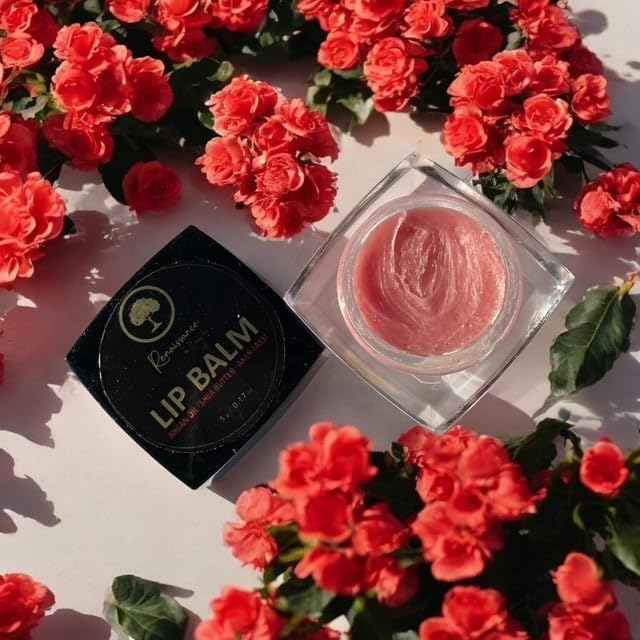 Renaissance de Beaute Aker Fassi Lip Balm (Aker Fassi)~delivers intense hydration, nourishment for irresistibly soft lips, bringing a natural rose Beauty and Personal Care Renaissance de Beaute