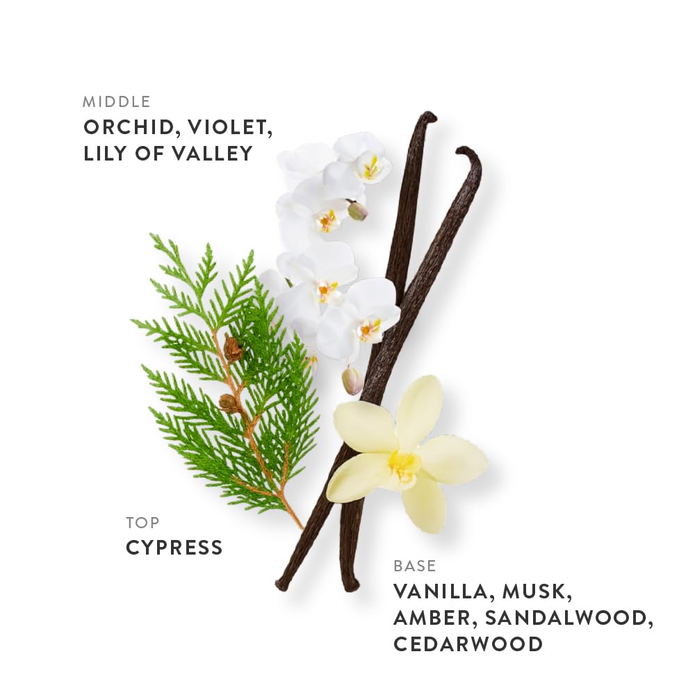 ETLEÉ Vanilla & Musk Eau de Parfum 0.34oz, Long Lasting Perfume Inspired by Phlr Vanilla Skin, Floral Fruity Gourmand Notes With Amber, Sandalwood Beauty & Personal Care ETLEÉ