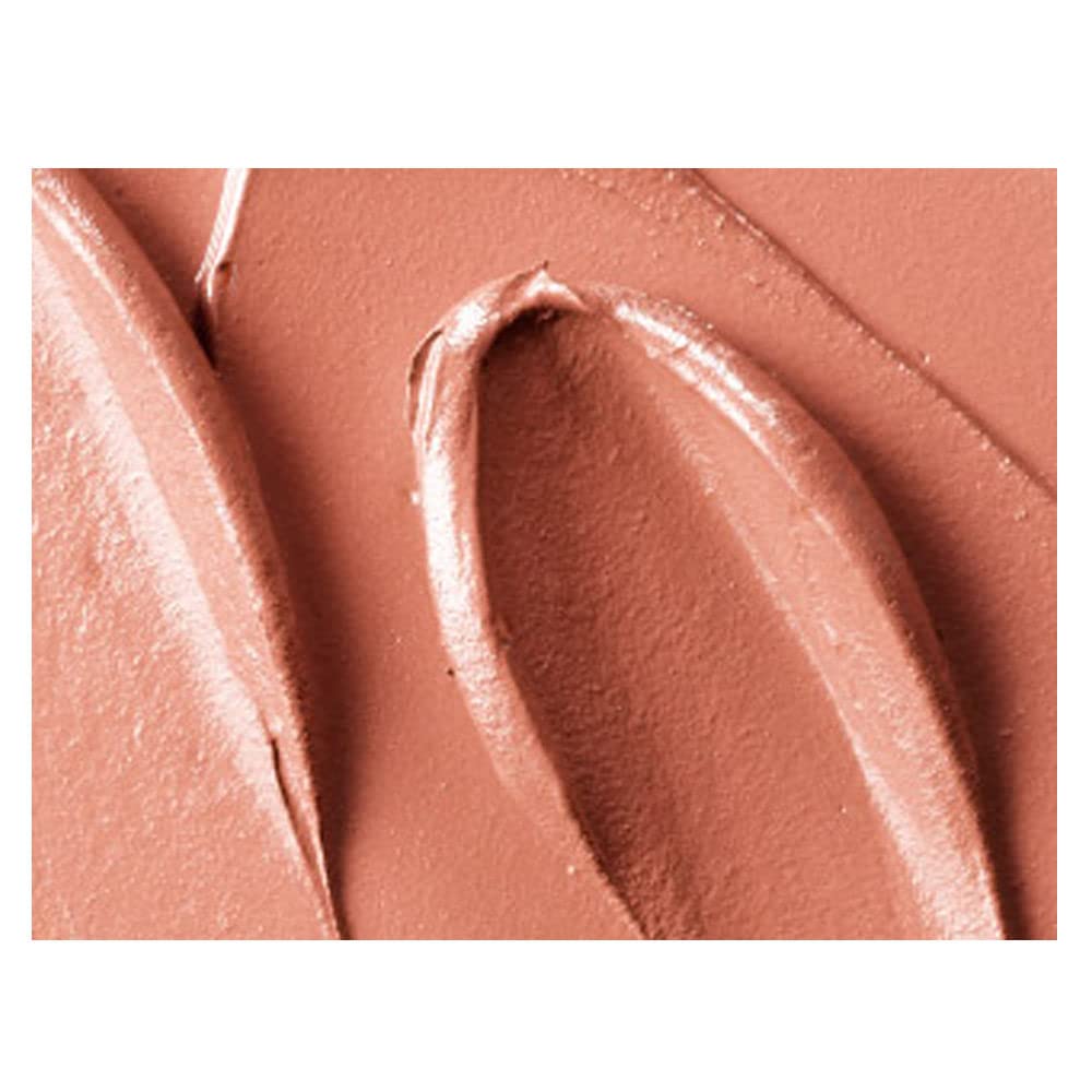 Retro Matte Liquid Lipcolor - 121 Burnt Spice by MAC for Women - 0.17 oz Lipstick Beauty & Personal Care MAC