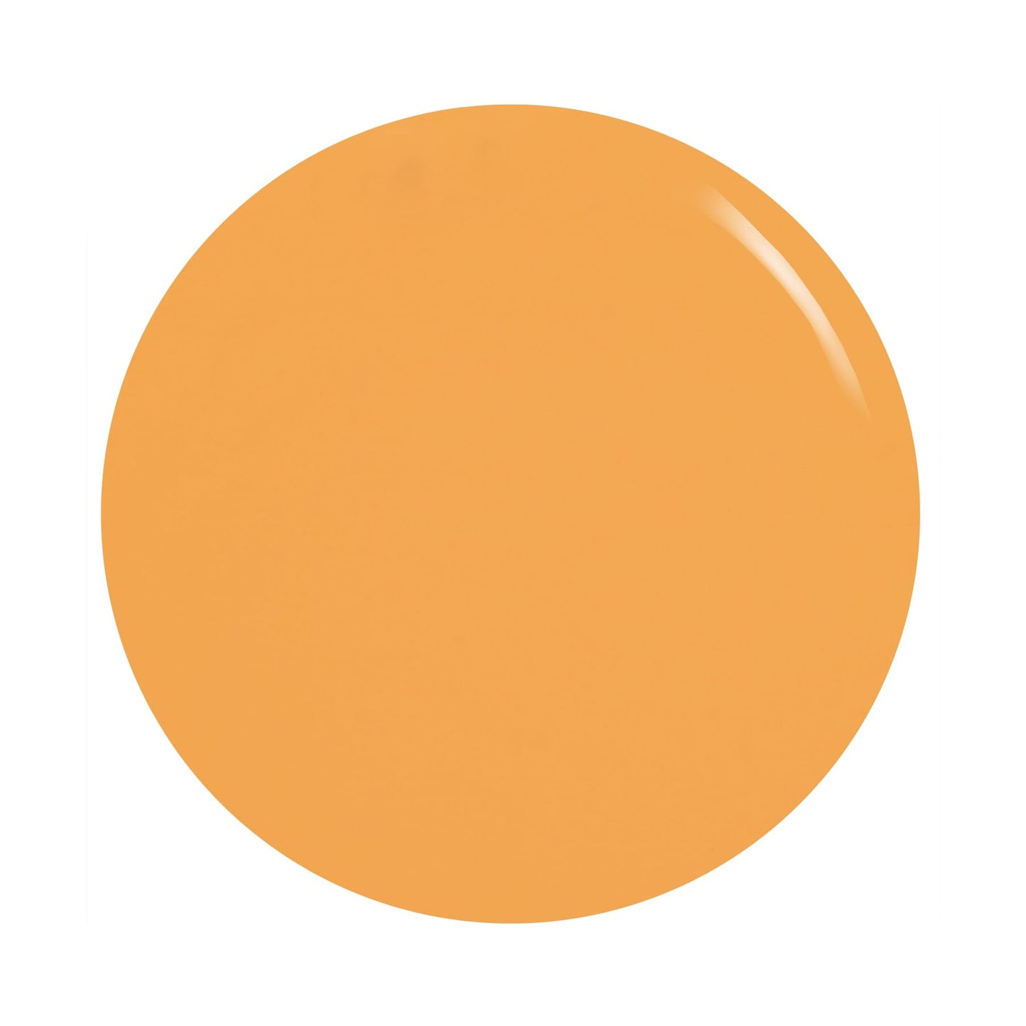 Orly 50th Anniversary 1970s Collection (Hunky Dory, 0.6 fl oz) Beauty & Personal Care Orly