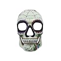 Kbw Men's Day of The Dead Full face Mask Beauty & Personal Care KBW