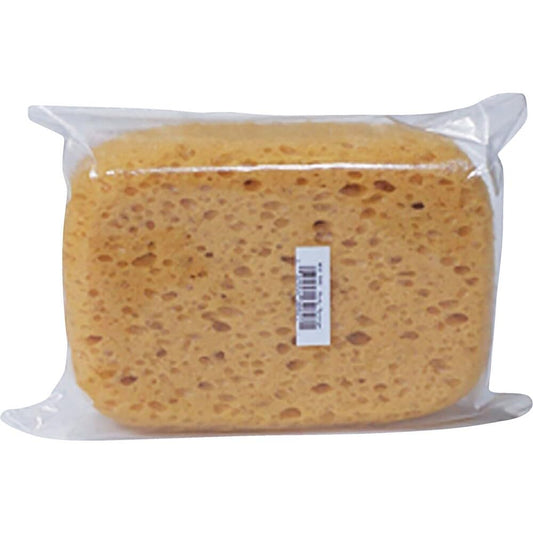 Cat Craft Body Sponge, No. 16 Medium, High Absorbency, 1 Count Beauty and Personal Care Cat Craft