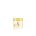 GREEN TEA CITRON FREESIA by Elizabeth Arden, HONEY DROP BODY CREAM 16.9 OZ Beauty & Personal Care Elizabeth Arden