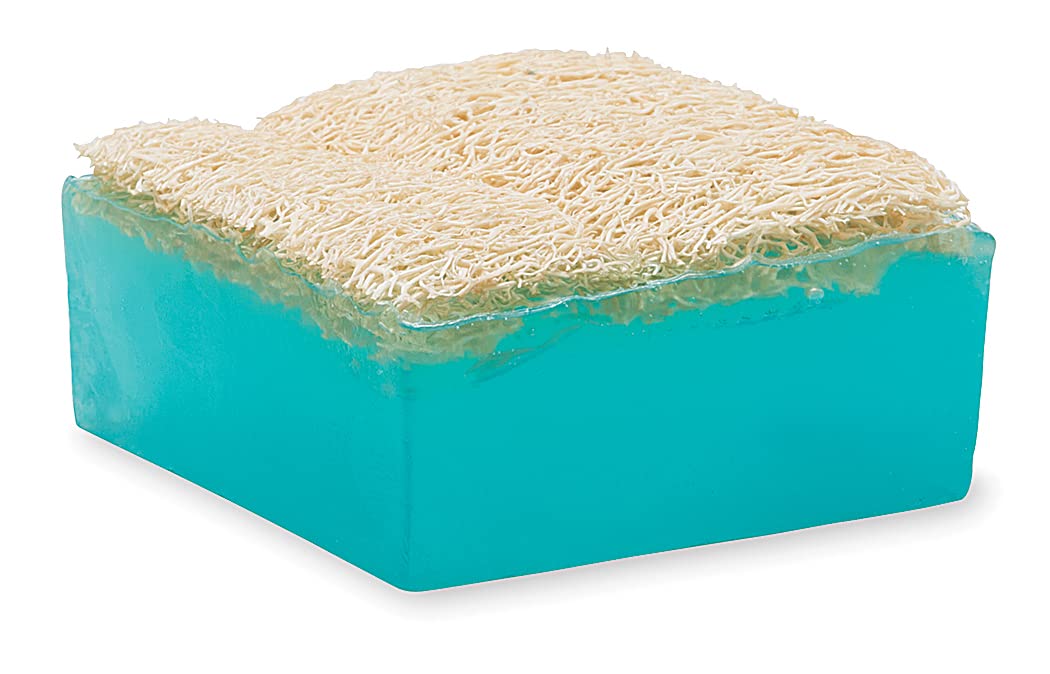 Primal Elements Mermaid Loofah Bar Soap, 5 Ounce Beauty & Personal Care Primal Elements
