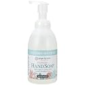 Ginger Lily Farms Botanicals All-Purpose Foaming Hand Soap Refill, 100% Vegan & Cruelty-Free, Cucumber Mint Bliss Scent, 20 Fl Oz (Pack of 1) Beauty & Personal Care Ginger Lily Farms